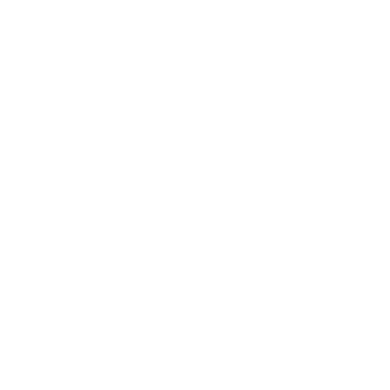 The Brandon